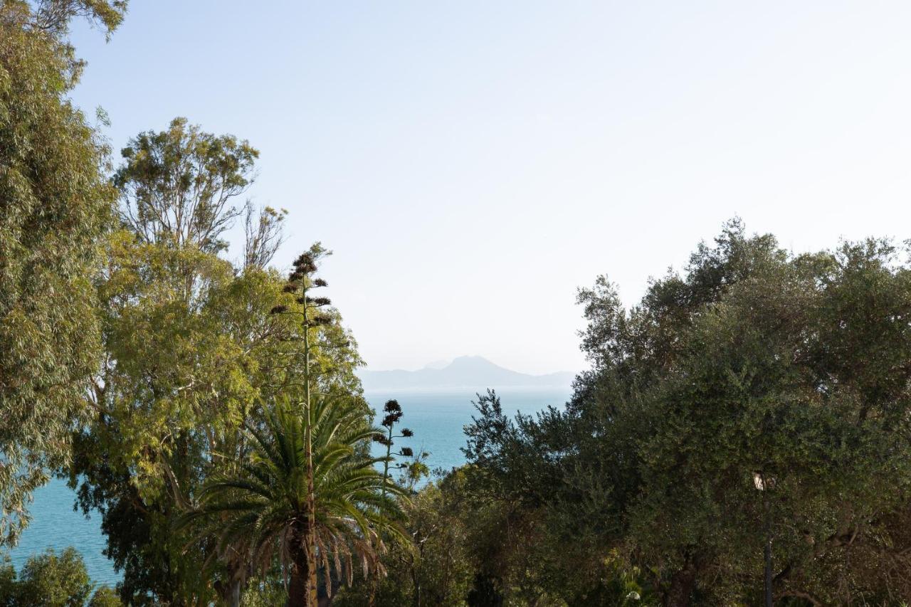 Si Brahim Studio Piscine, Sidi Bou Said Luaran gambar