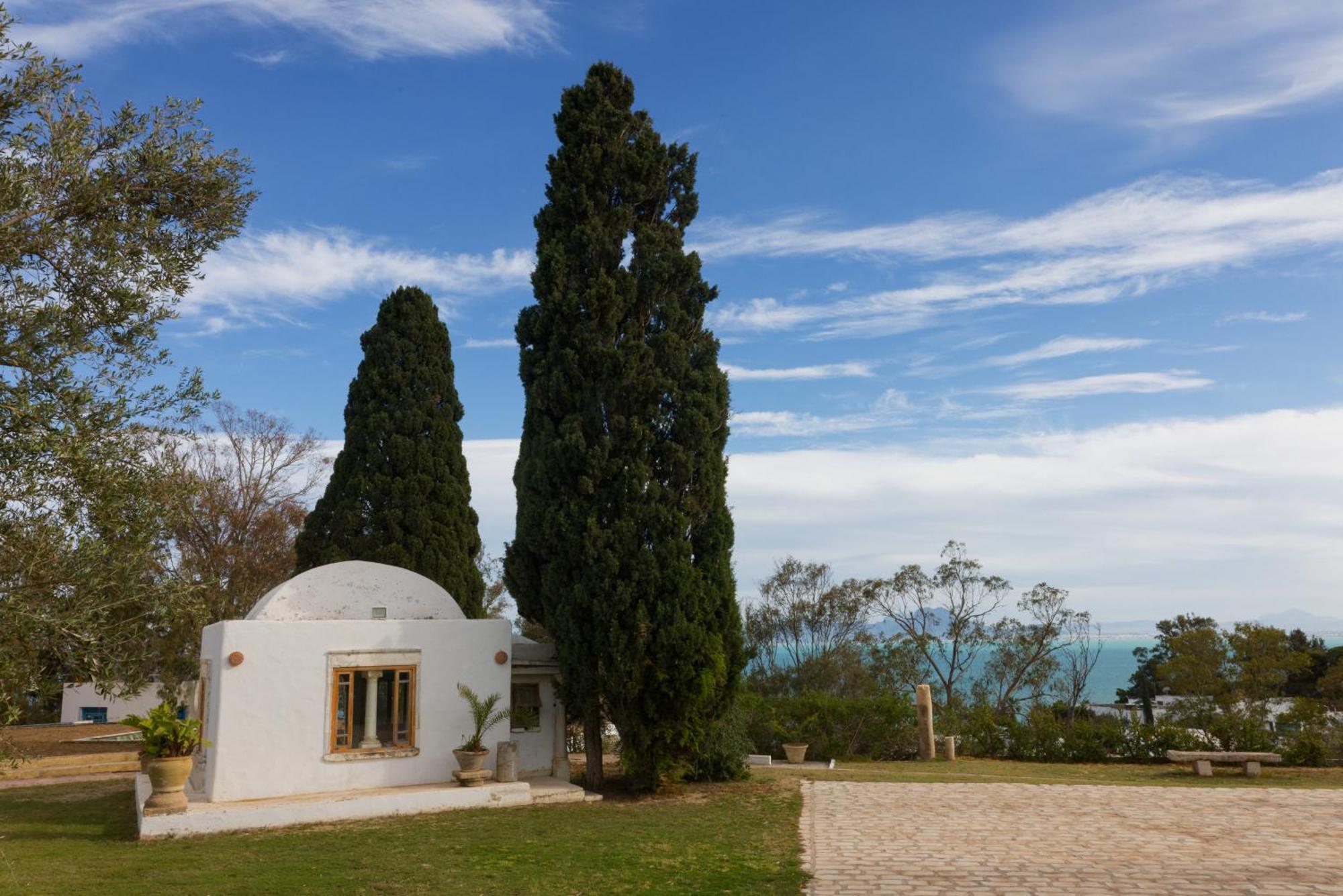 Si Brahim Studio Piscine, Sidi Bou Said Luaran gambar