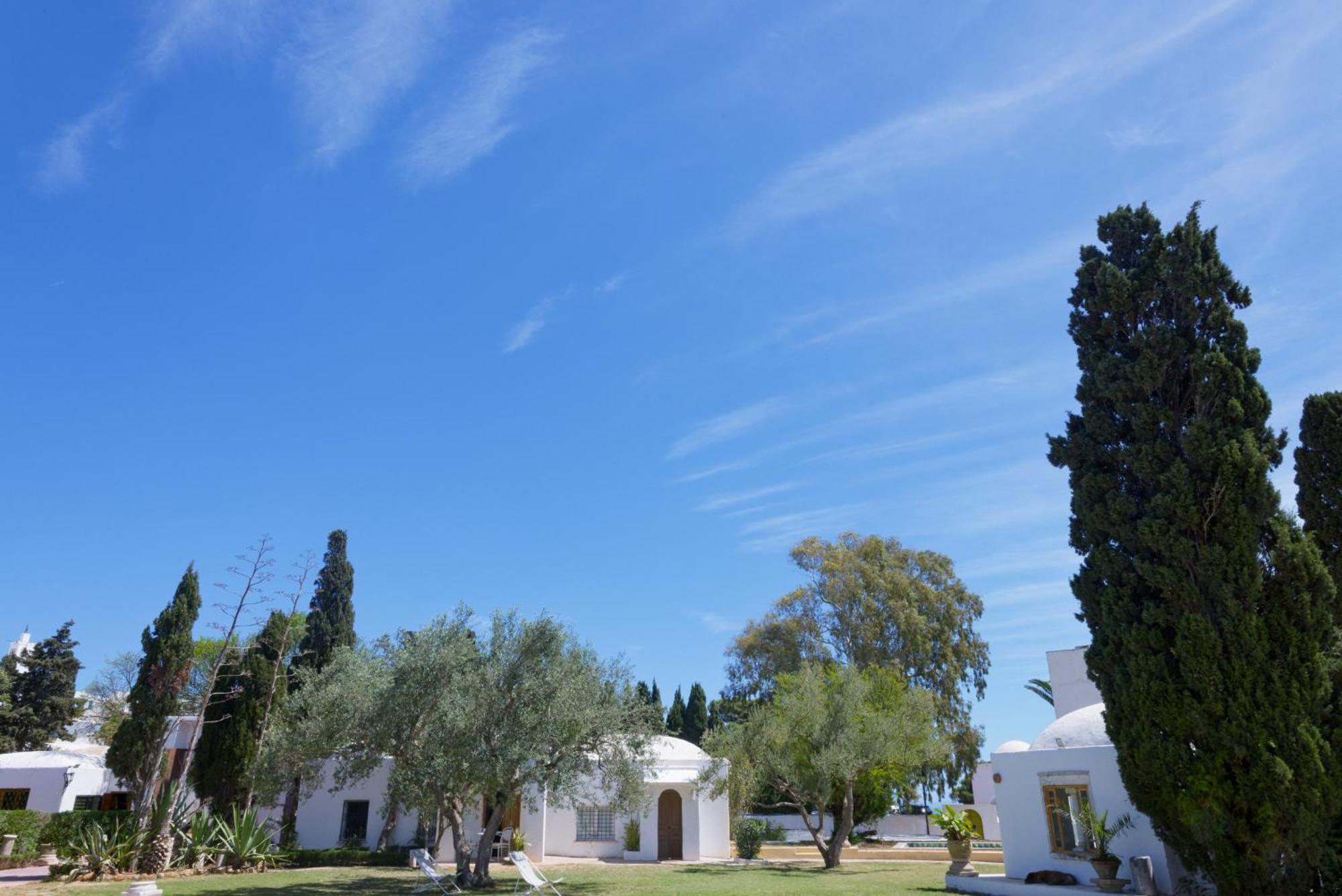 Si Brahim Studio Piscine, Sidi Bou Said Luaran gambar