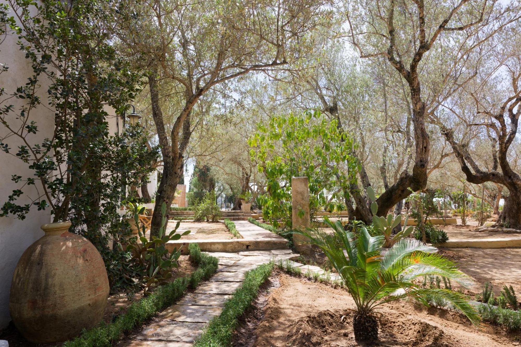 Si Brahim Studio Piscine, Sidi Bou Said Luaran gambar